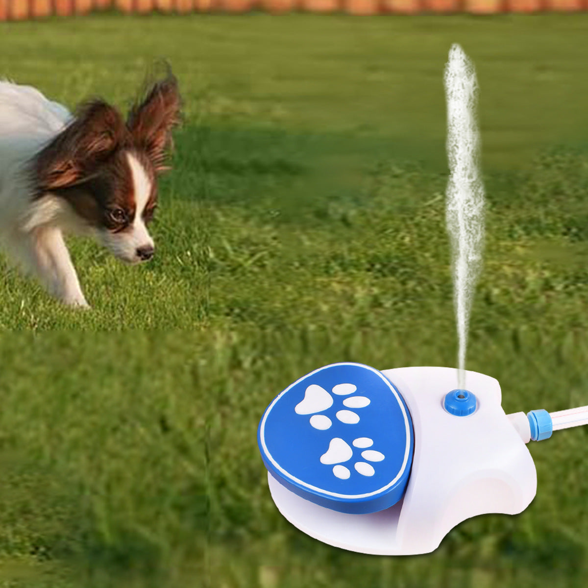 Pet Outdoor Foot Pressure Automatic Water Dispenser