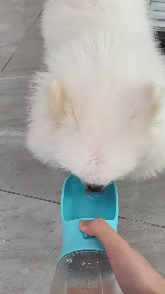 Video laden: unsere Videos zur Abgabe von Haustieren